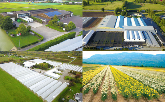 4 locations sm.jpg__PID:7ccbd542-1d0b-4f39-b955-43b7caed5167