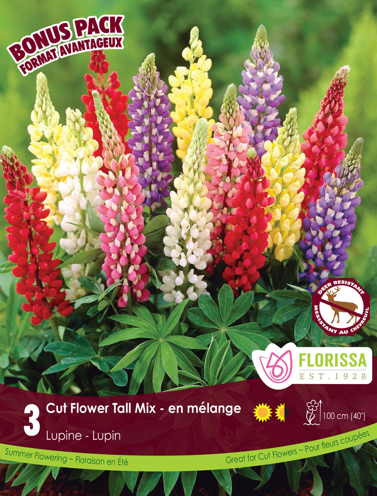 Bonus Pack - Lupine Tall Mix