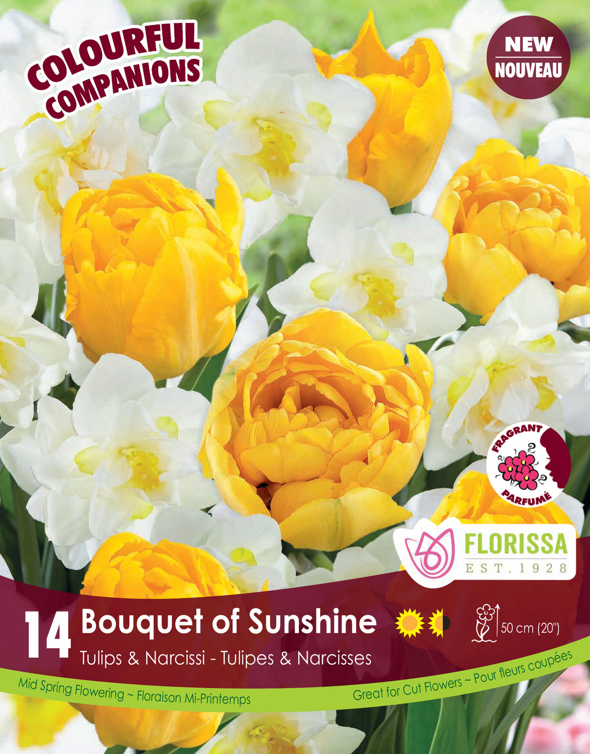 Fall Colourful Companions - Bouquet of Sunshine Retail