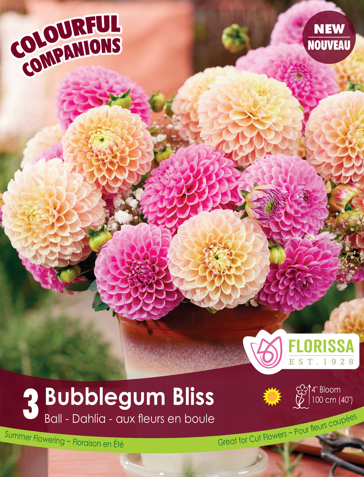 Spring Colourful Companion - Bubblegum Bliss