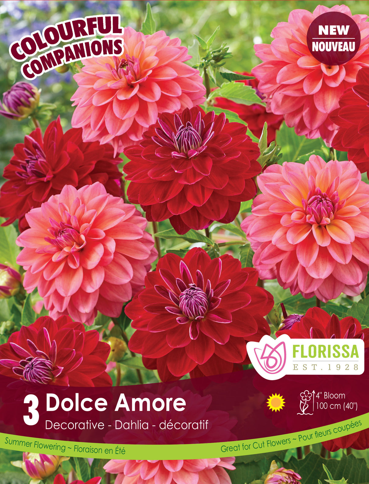 Spring Colourful Companion - Dolce Amore