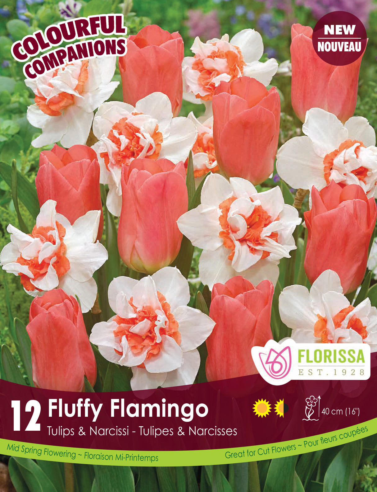 Fall Colourful Companions - Fluffy Flamingo Retail