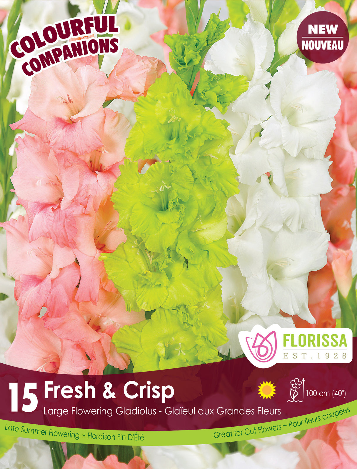 Spring Colourful Companion - Fresh & Crisp