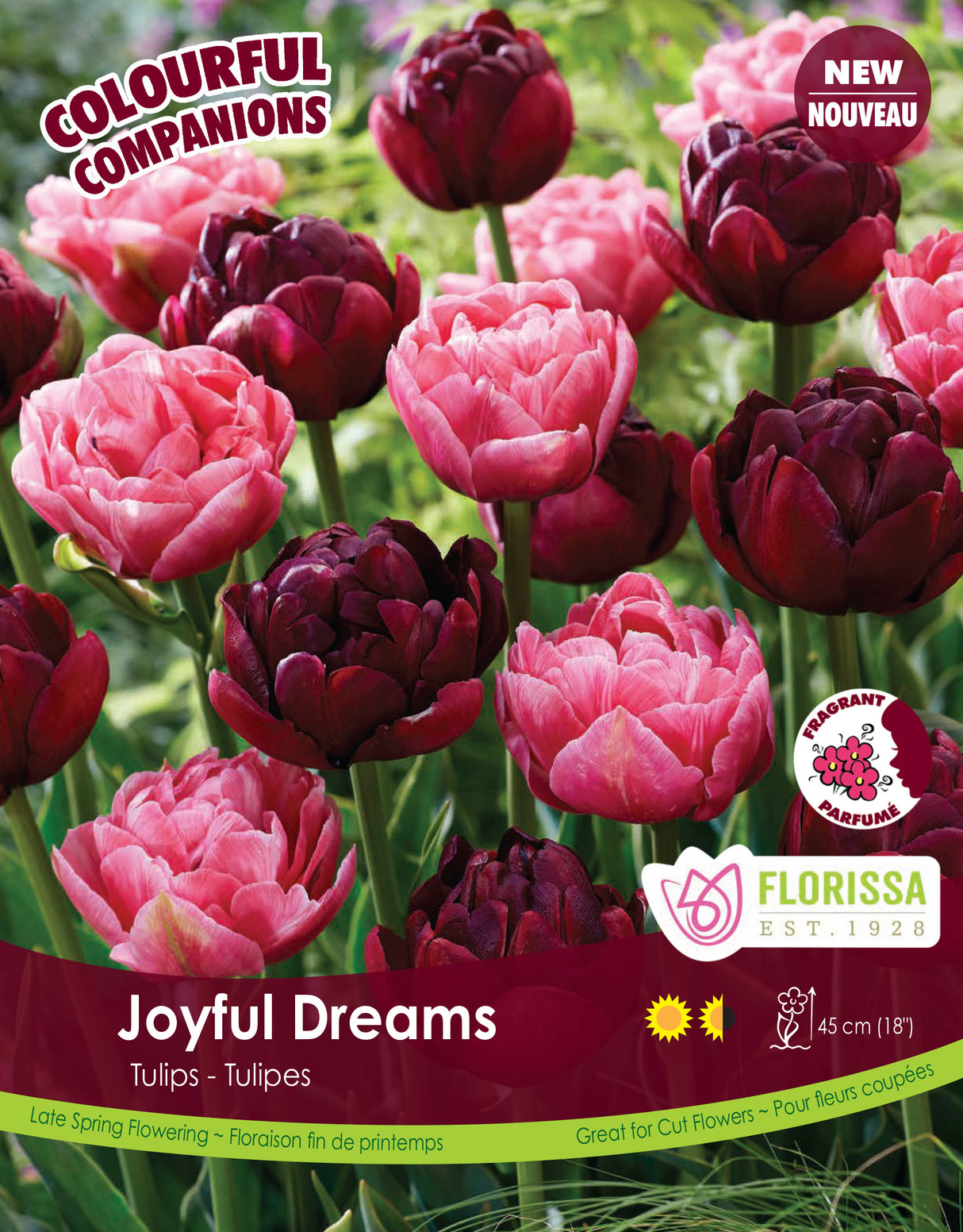 Fall Colourful Companions - Joyful Dreams Bulk
