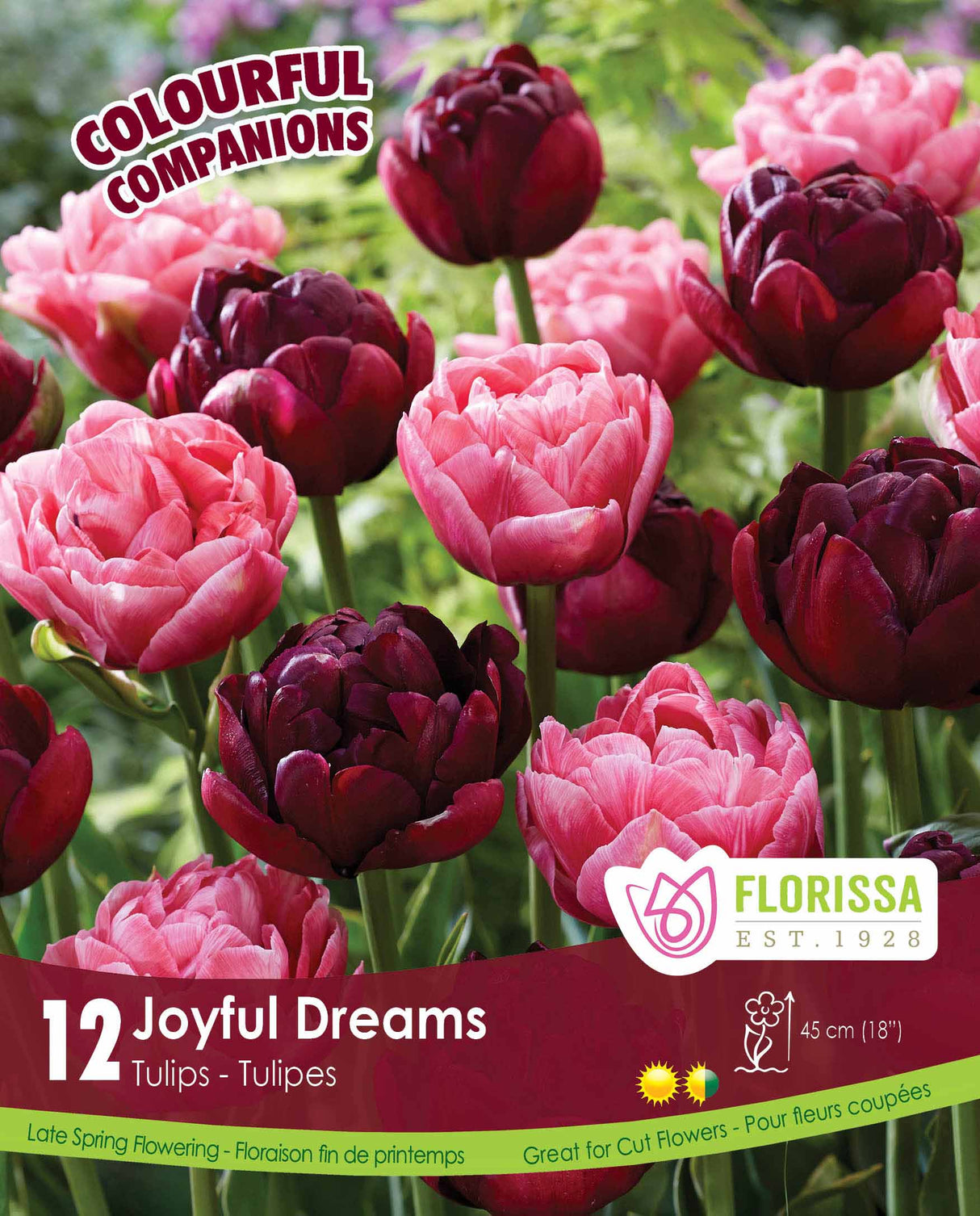 Fall Colourful Companions - Joyful Dreams Retail