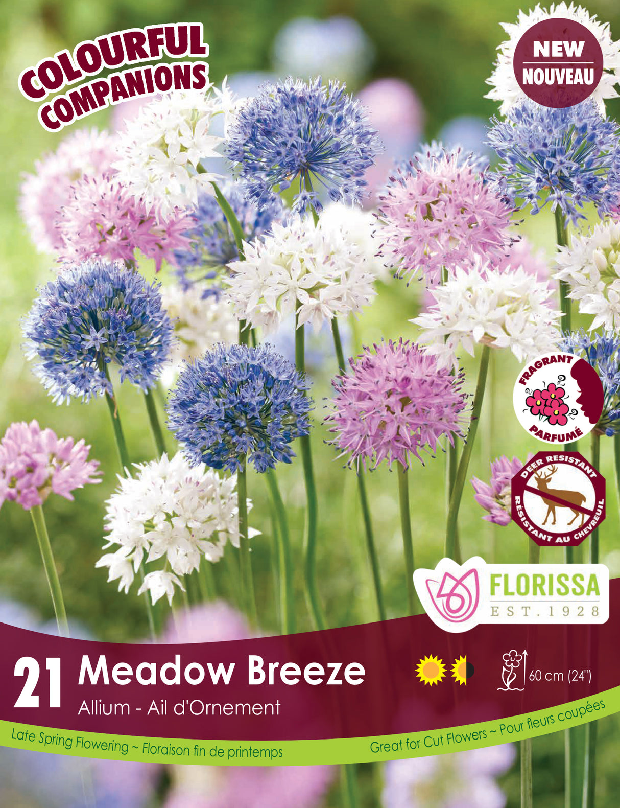 Fall Colourful Companions - Meadow Breeze Bulk