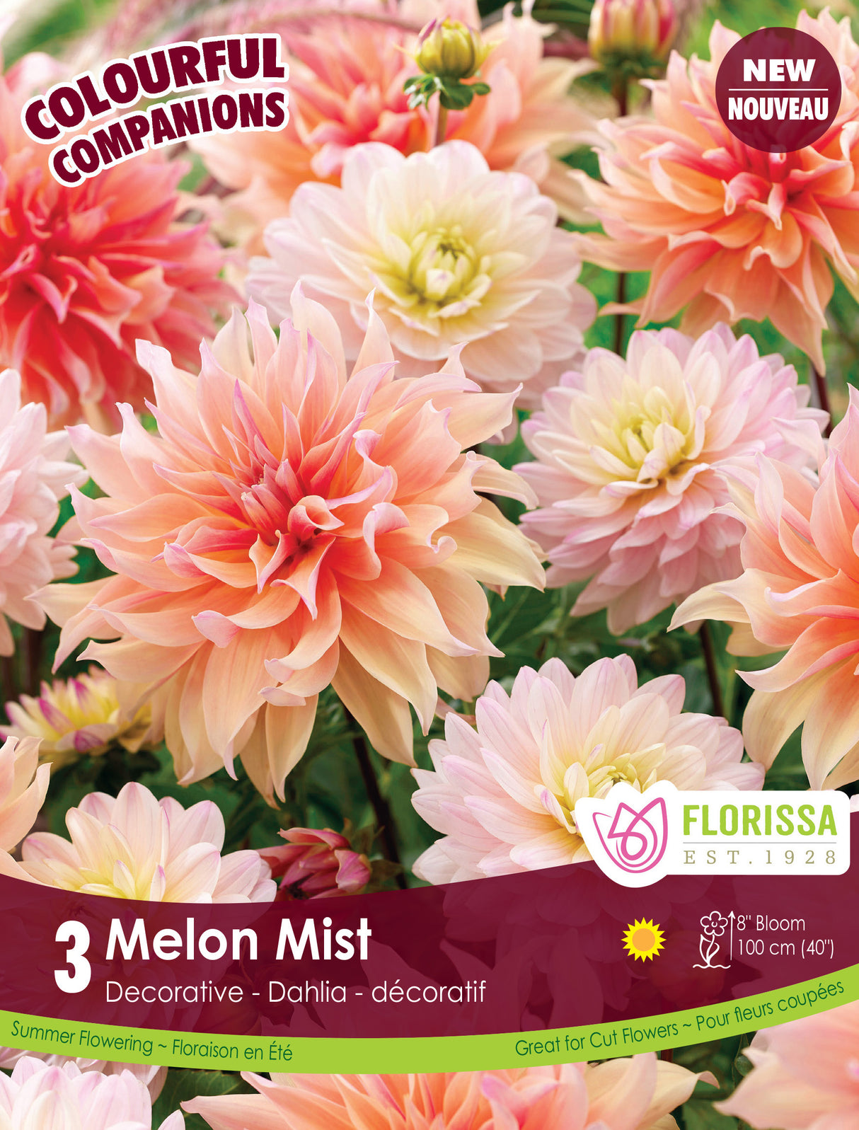 Spring Colourful Companion - Melon Mist