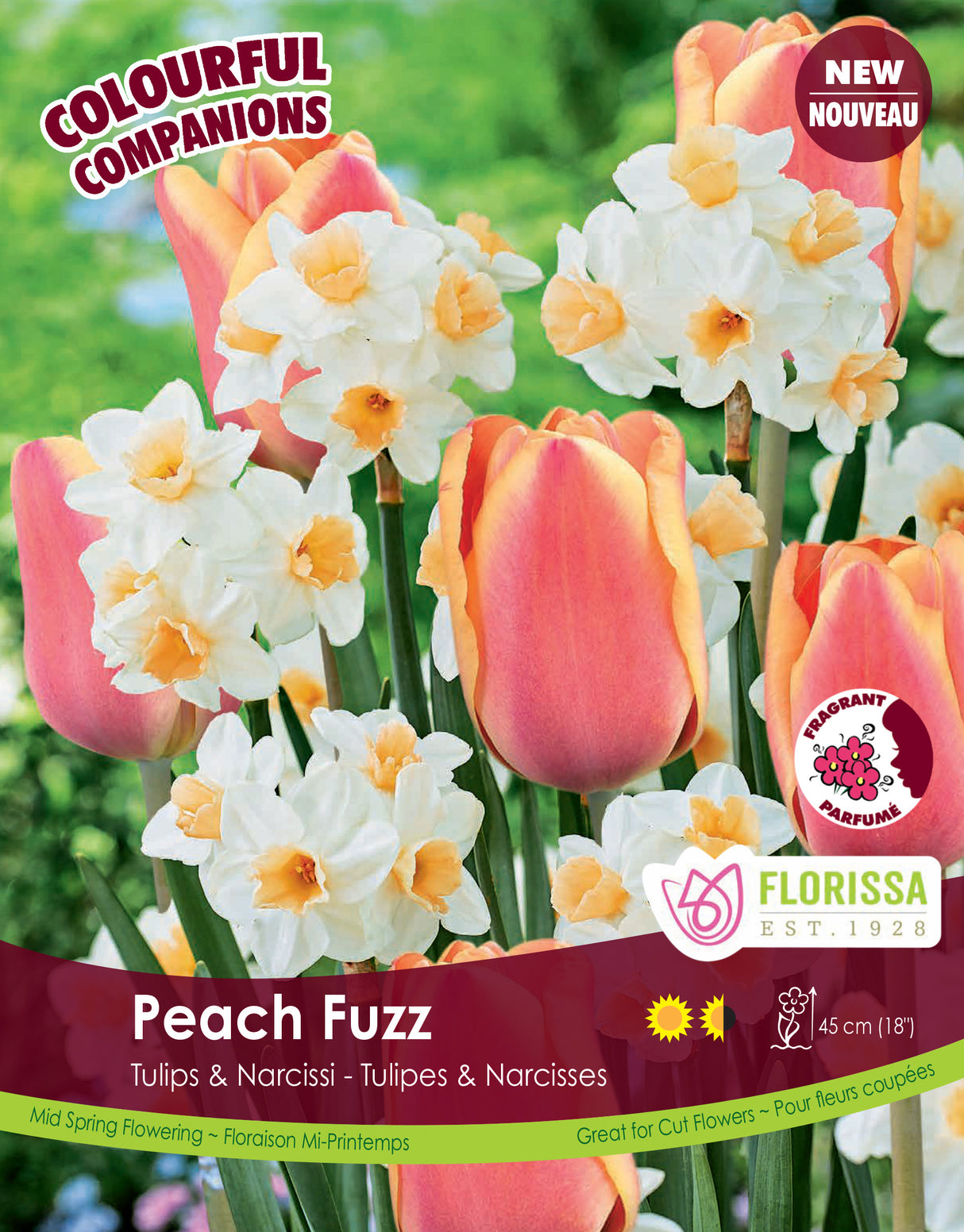 Fall Colourful Companions - Peach Fuzz Bulk