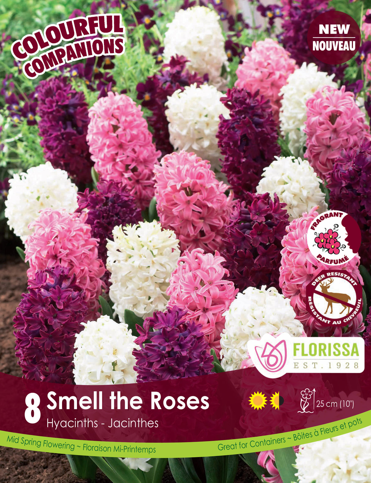 Fall Colourful Companions - Smell the Roses Bulk