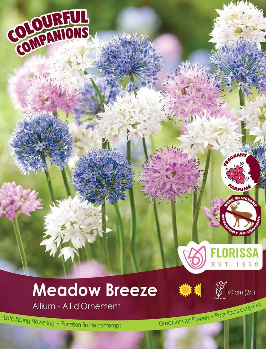 Fall Colourful Companions - Meadow Breeze Bulk