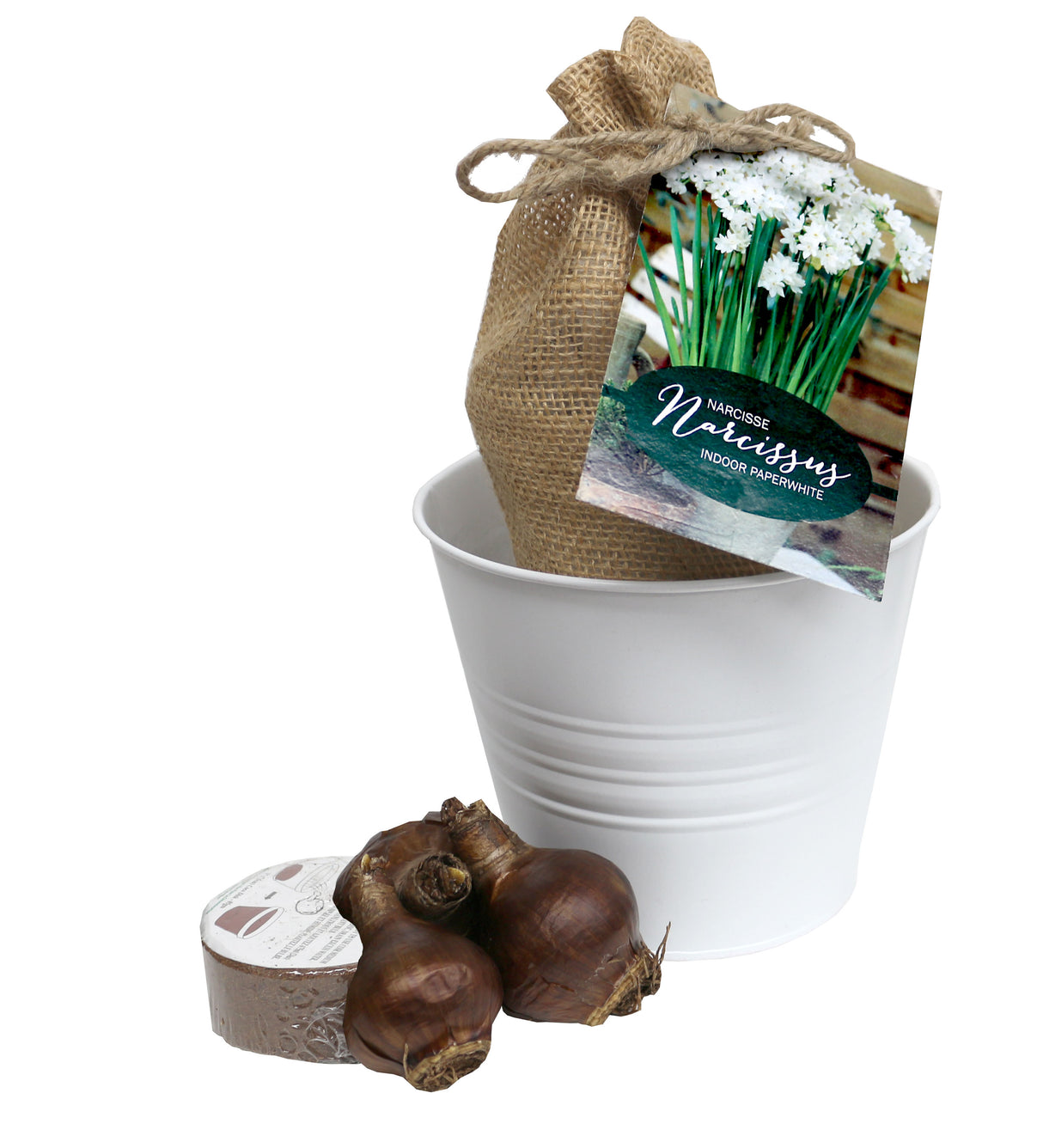 GP6 Nature’s Blooms Paperwhite - Gift Kits