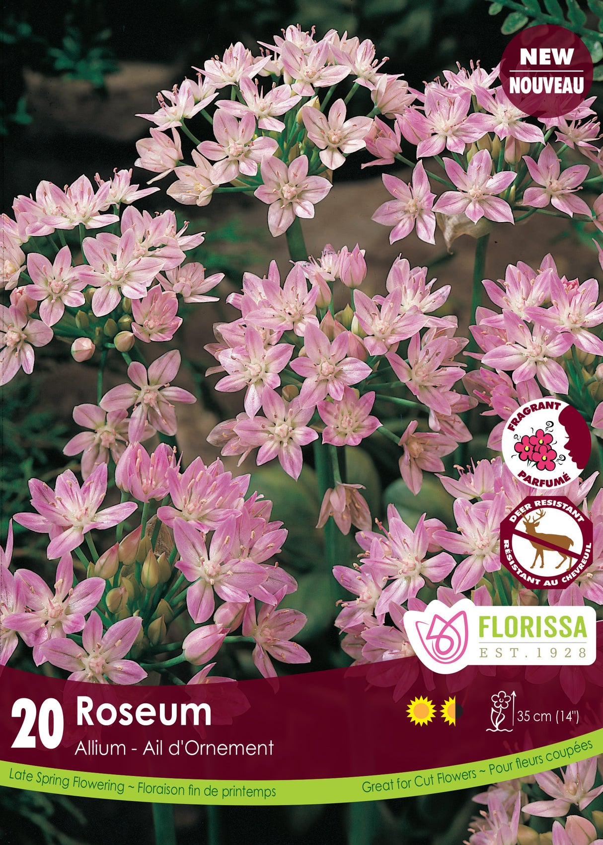Allium - Roseum Retail