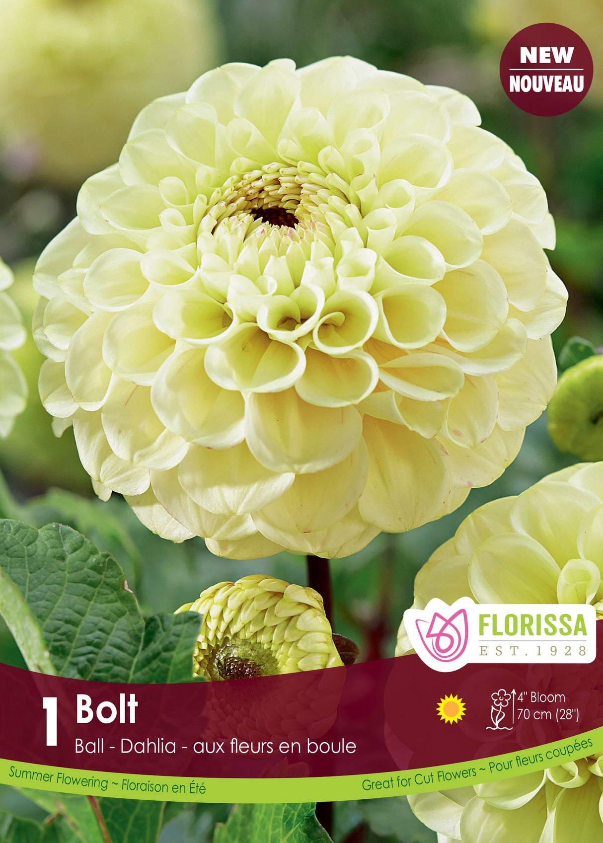 Dahlia Ball - Bolt Retail