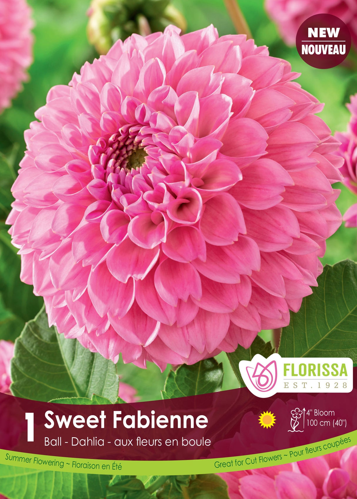 Dahlia Ball - Sweet Fabienne Retail