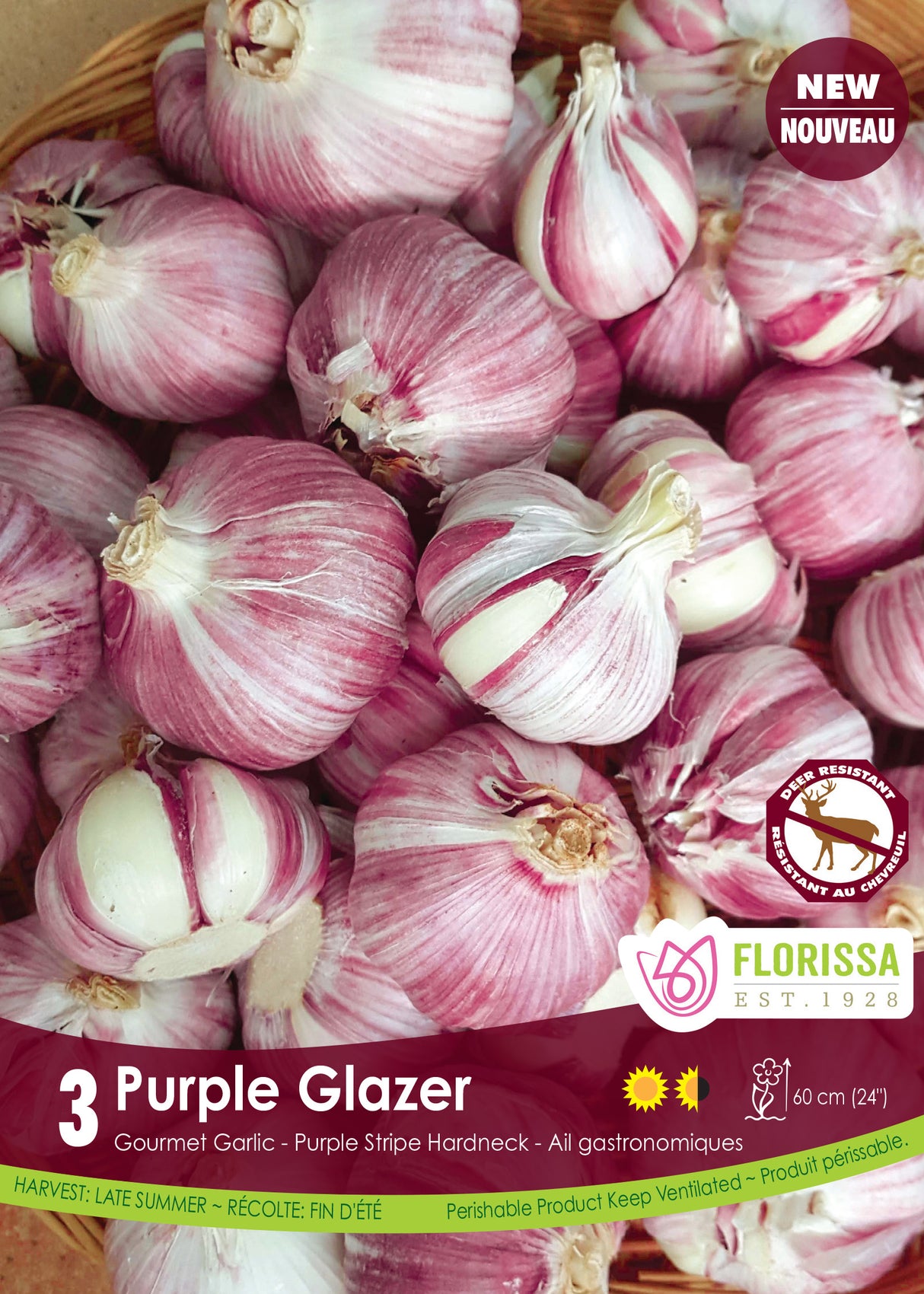 Garlic - Purple Glazer Retail