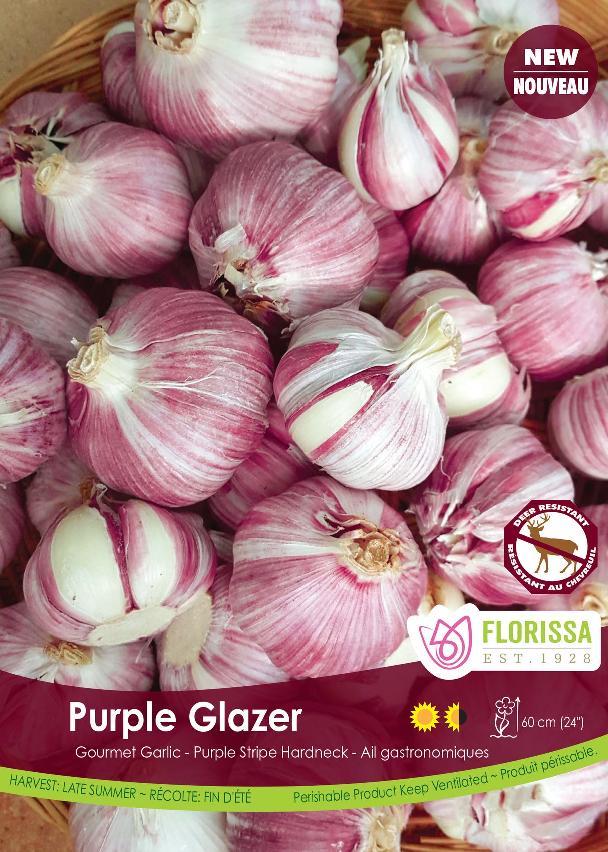 Garlic - Purple Glazer Bulk