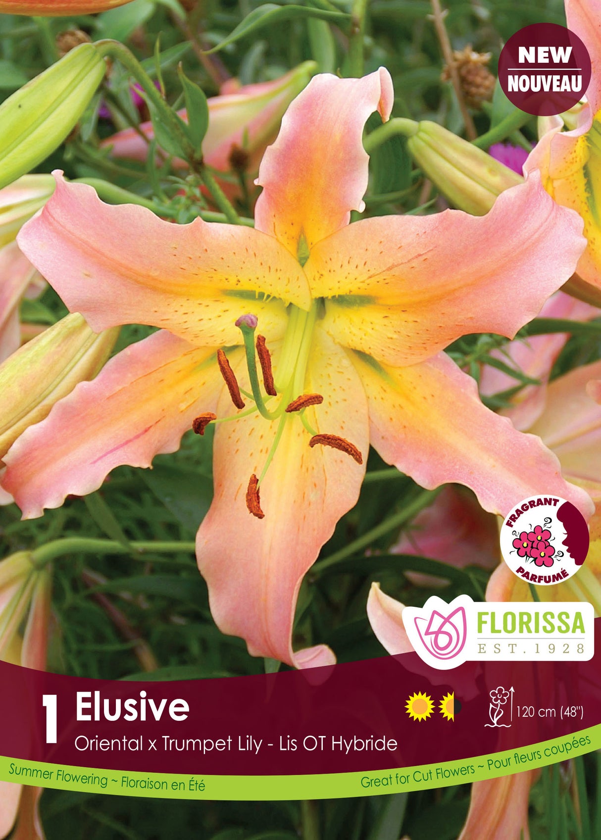 Lily O/T Hybrid  - Elusive Retail