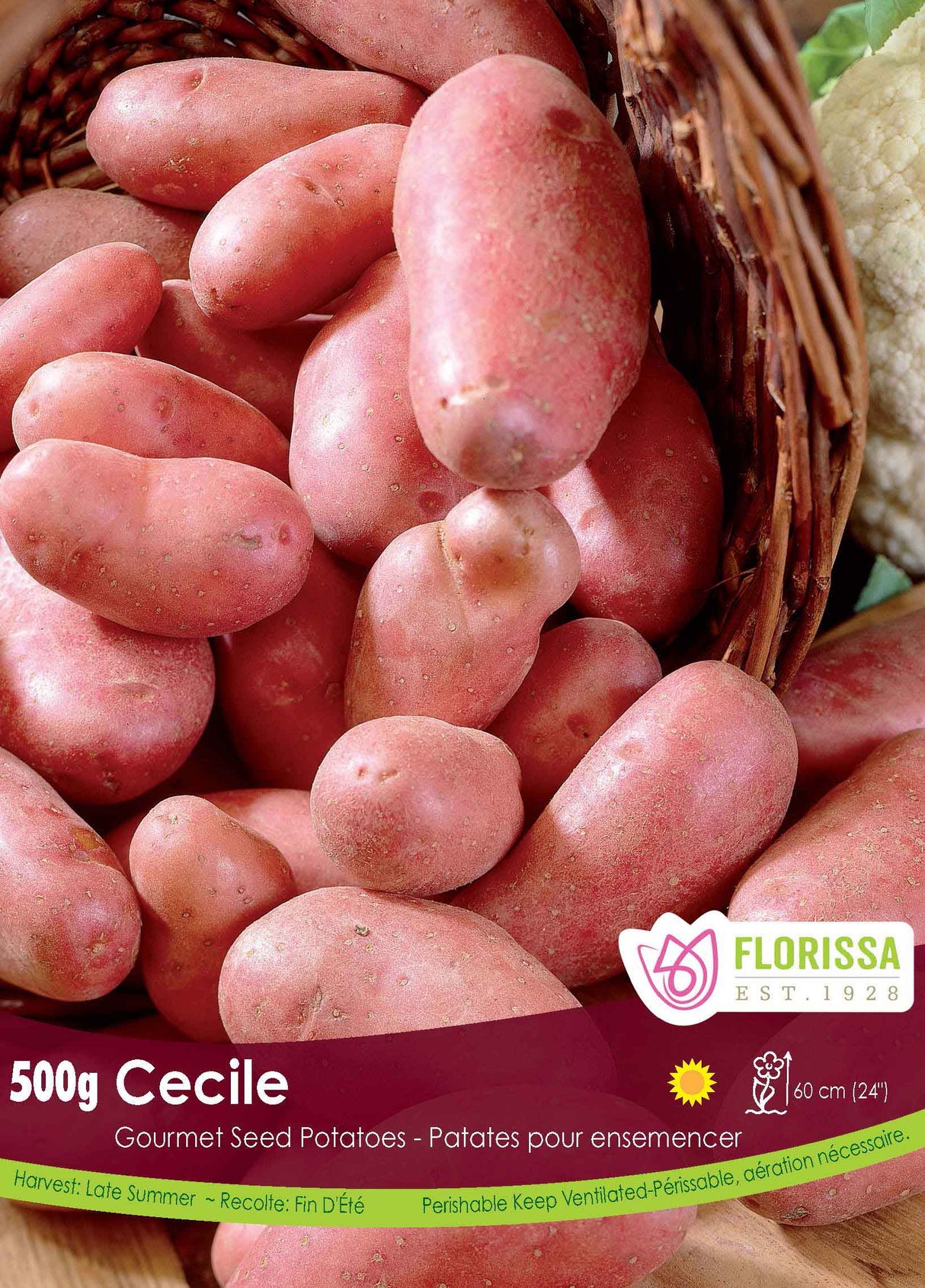 Potato Gourmet - Cecile