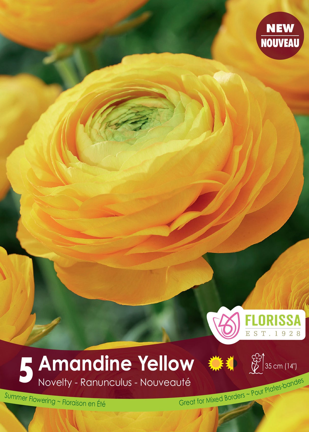 Ranunculus - Amandine Yellow Spring Retail
