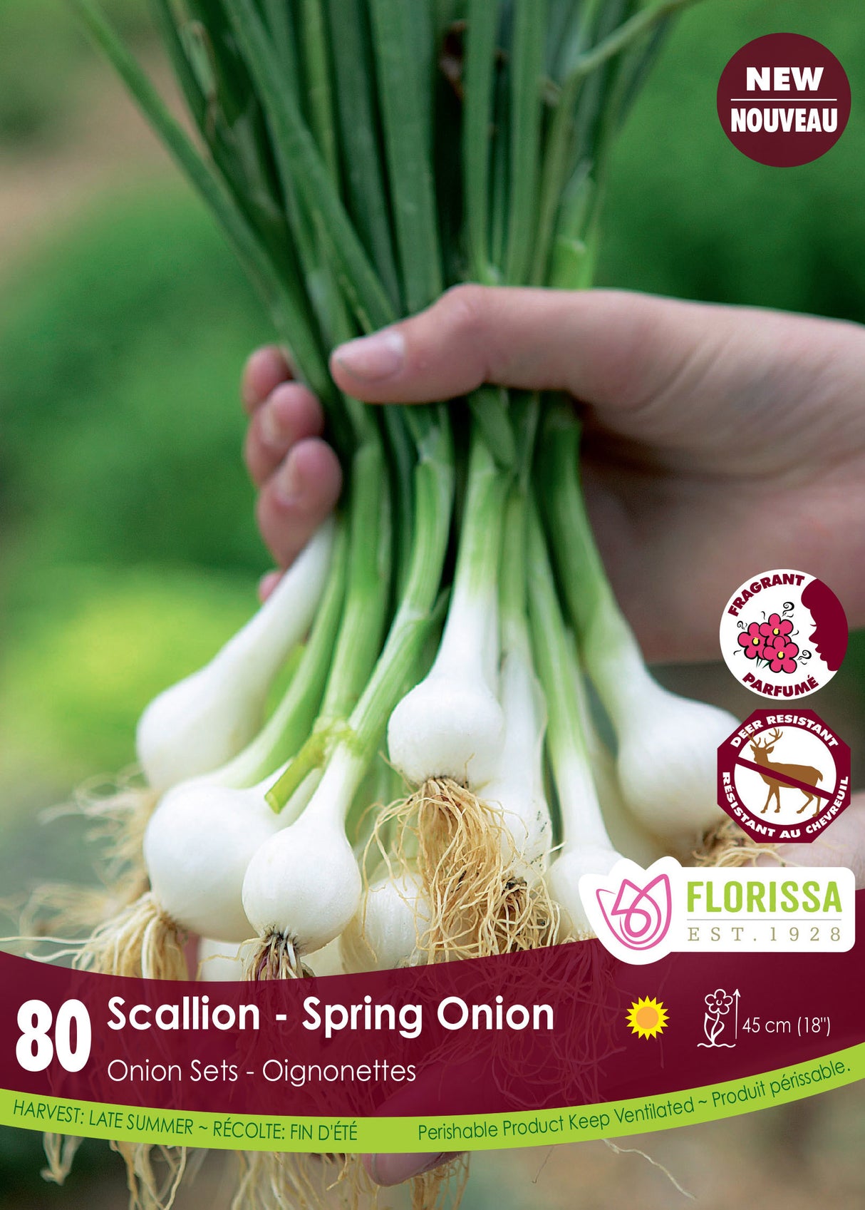 Onion Sets - Scallions Spring Onion Retail Pkg