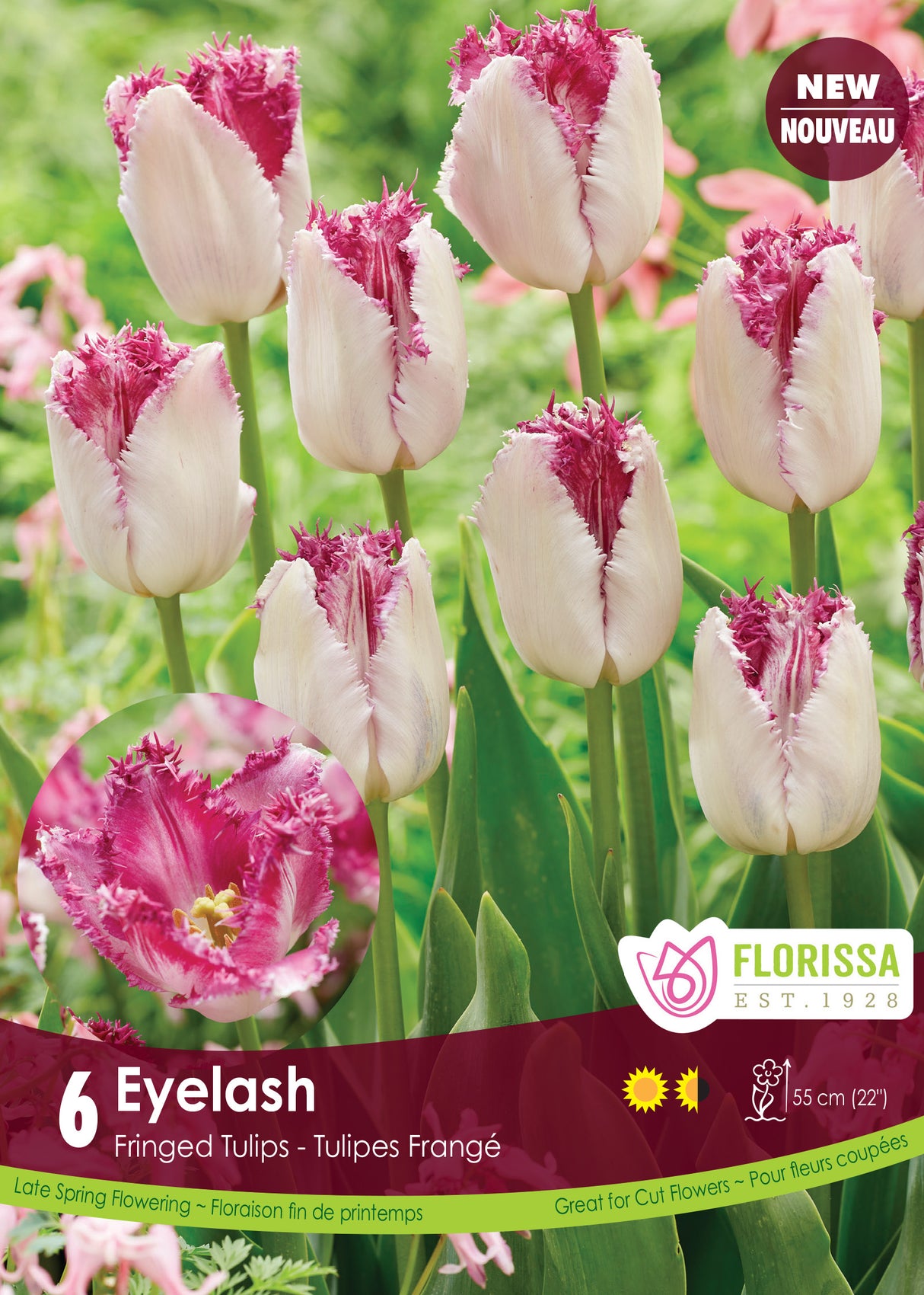 Tulip Fringed - Eyelash Retail