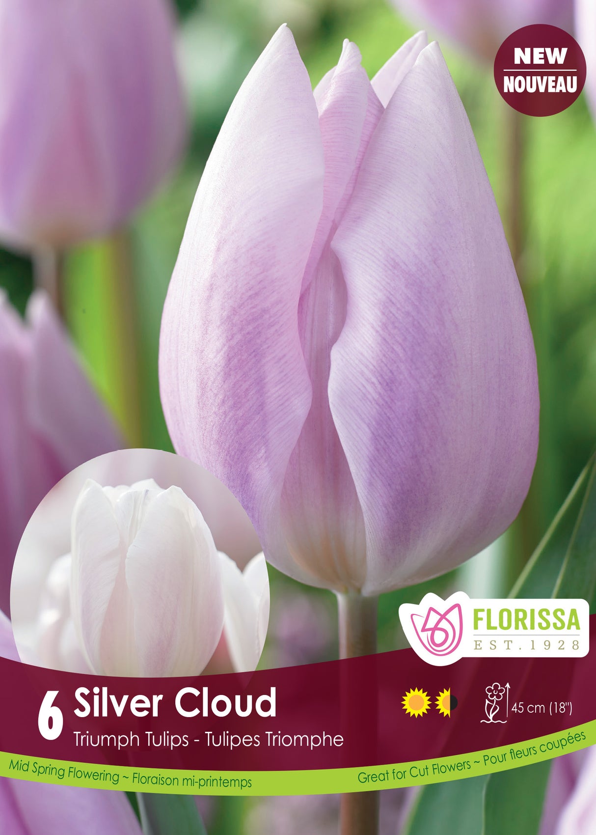 Tulip Triumph - Silver Cloud Retail