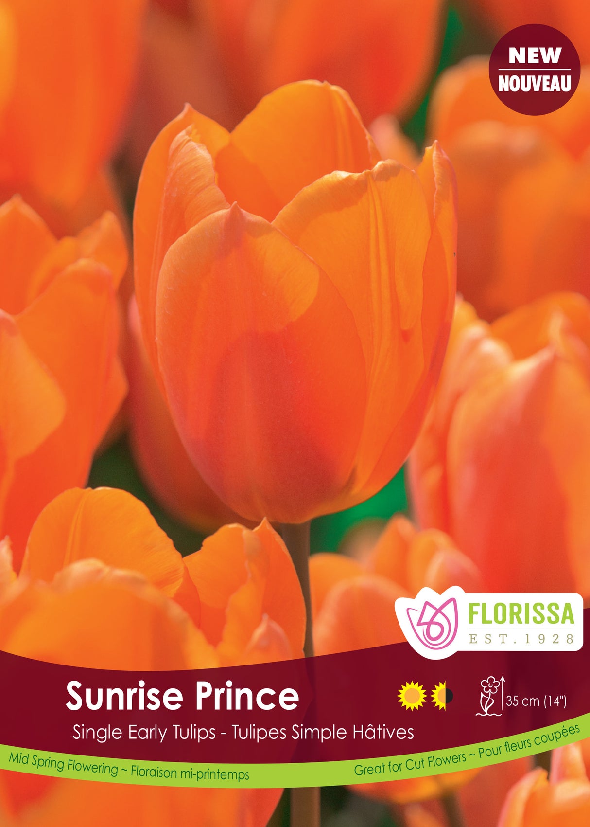 Tulip Single Early - Sunrise Prince Bulk