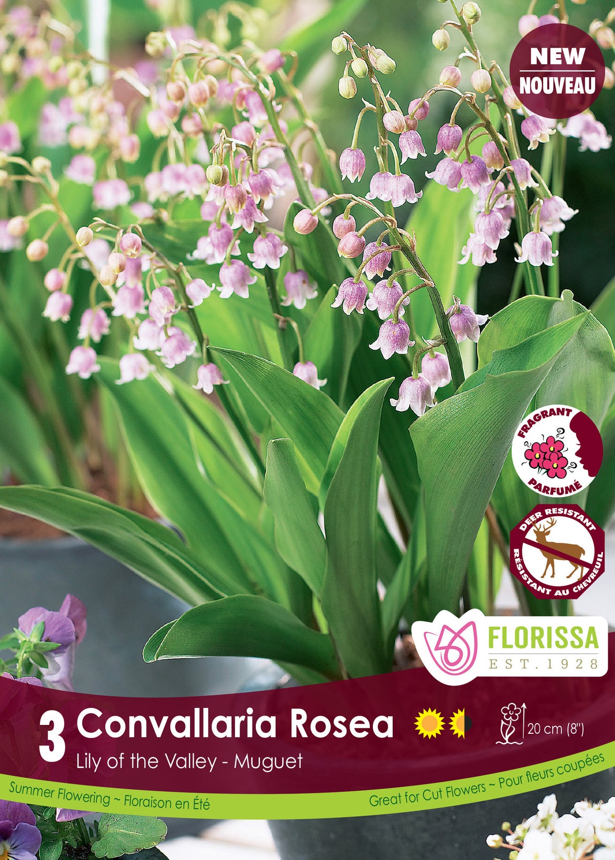 Convallaria - Rosea Retail Pkg