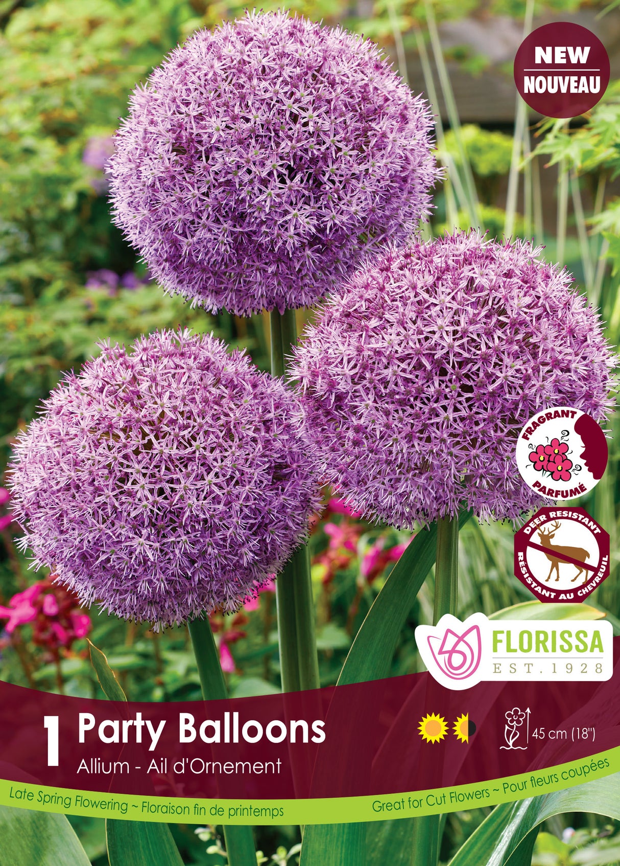 Allium - Party Balloons Retail
