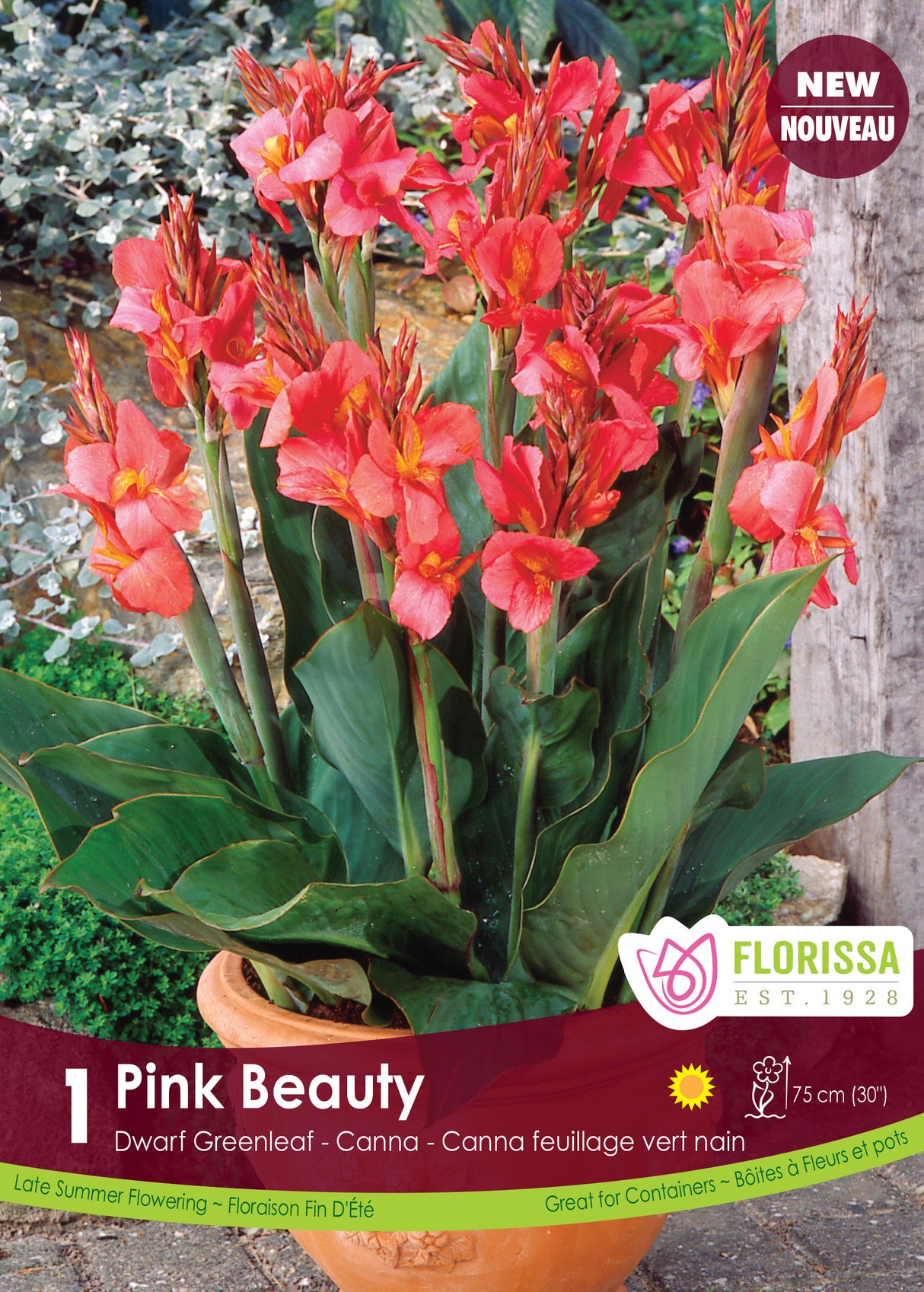 Canna Greenleaf - Pink Beauty Retail Pkg