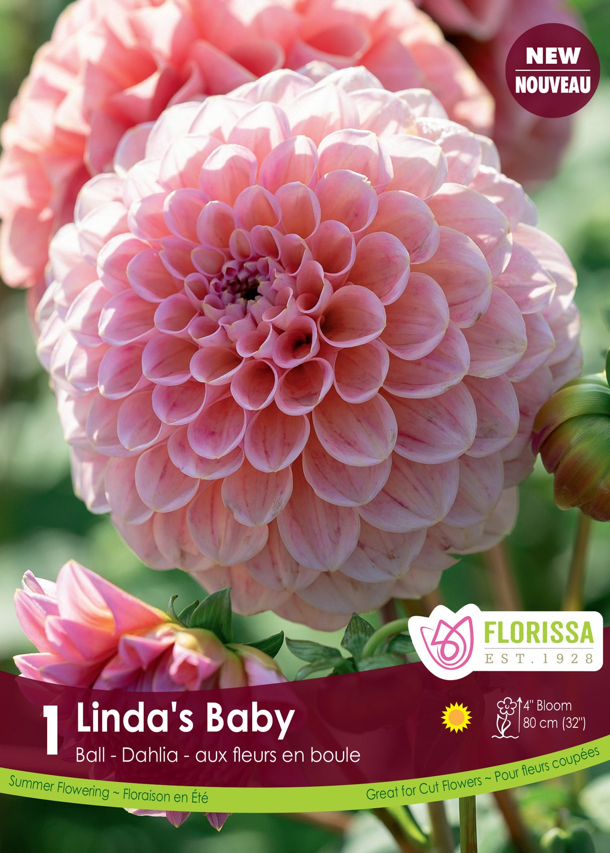 Dahlia Ball - Linda's Baby Retail