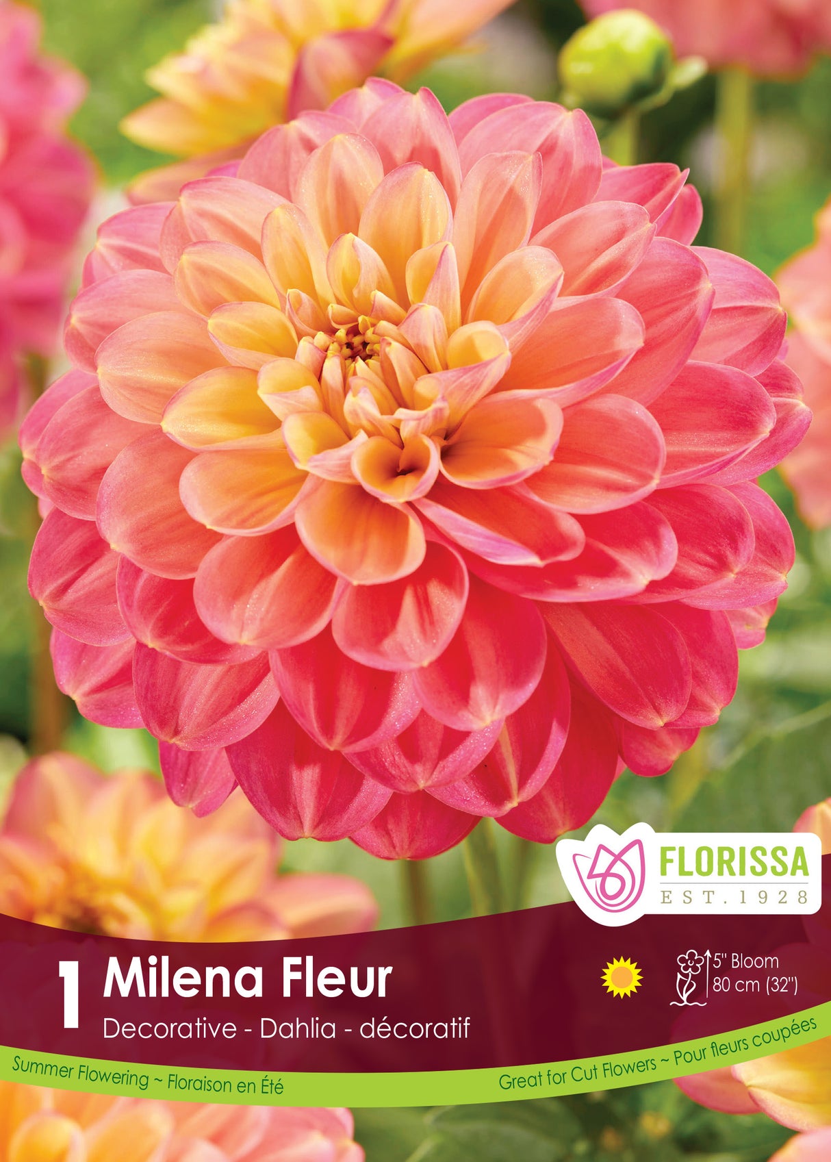 Dahlia Decorative - Milena Fleur Retail Pkg