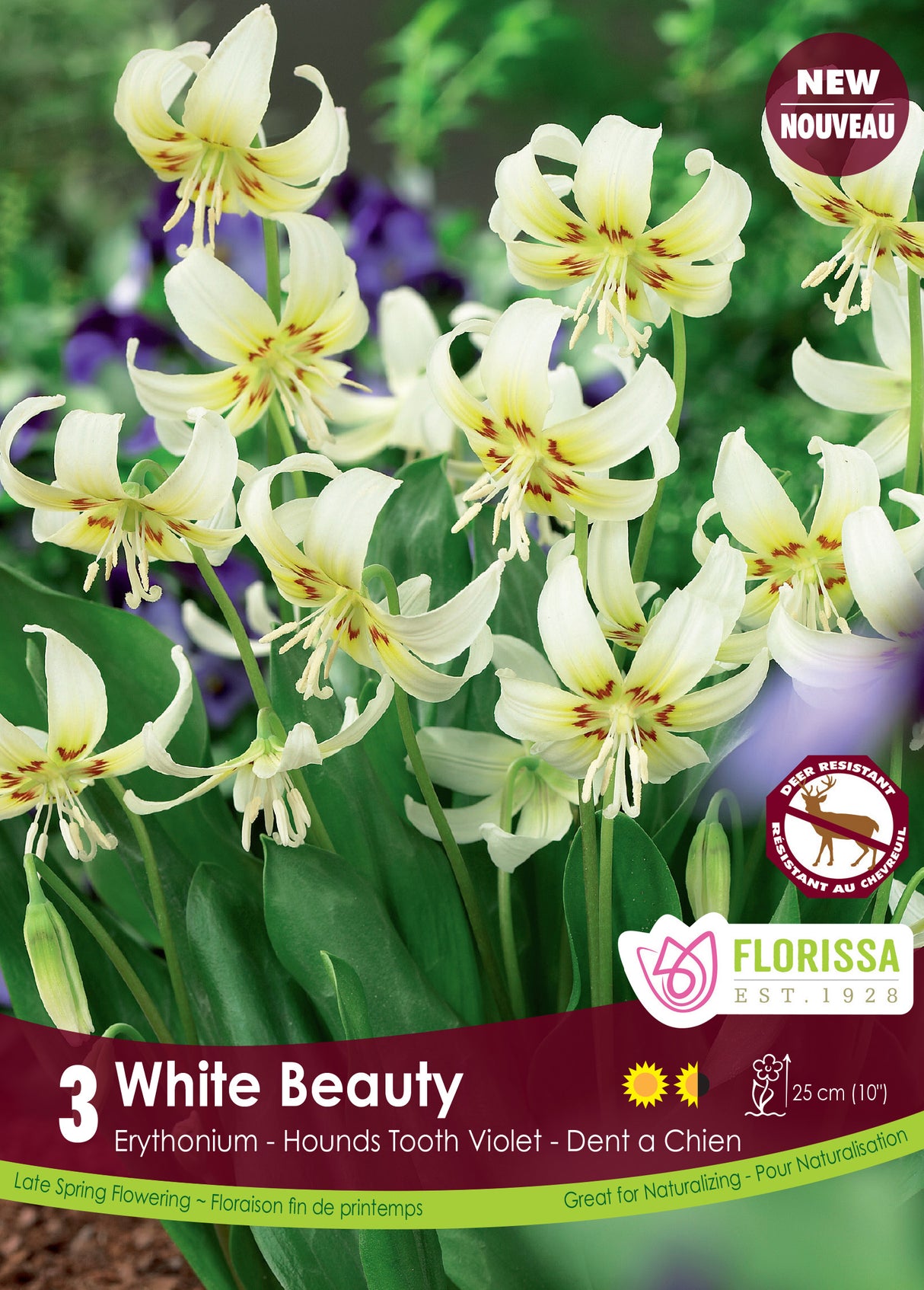 Erythronium - White Beauty Retail
