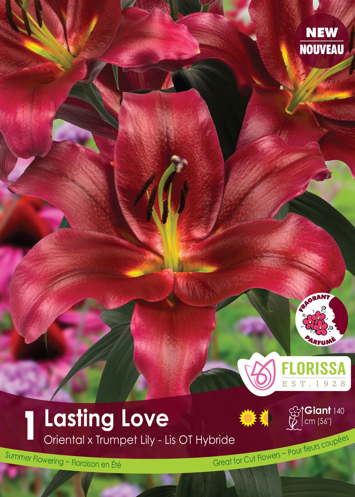 Lily O/T Hybrid  - Lasting Love Retail