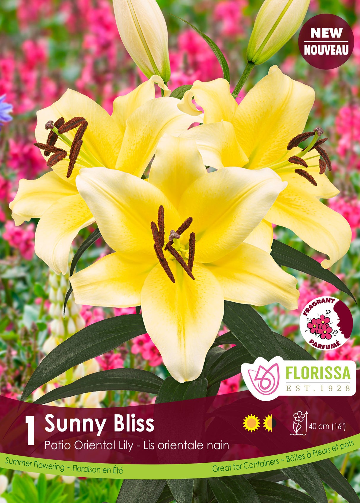 Lily Patio Oriental  - Sunny Bliss Retail