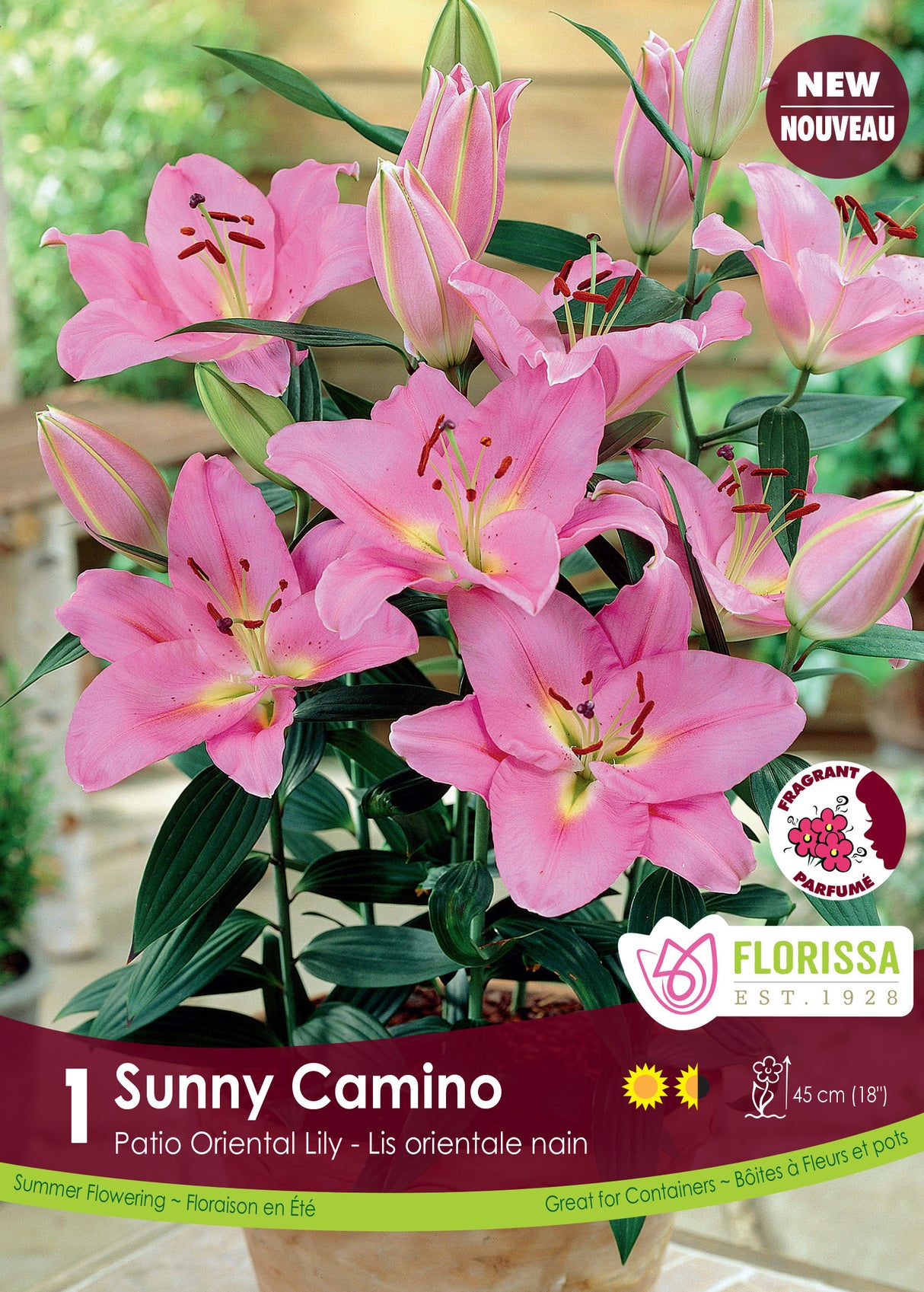 Lily Patio Oriental  - Sunny Camino Retail