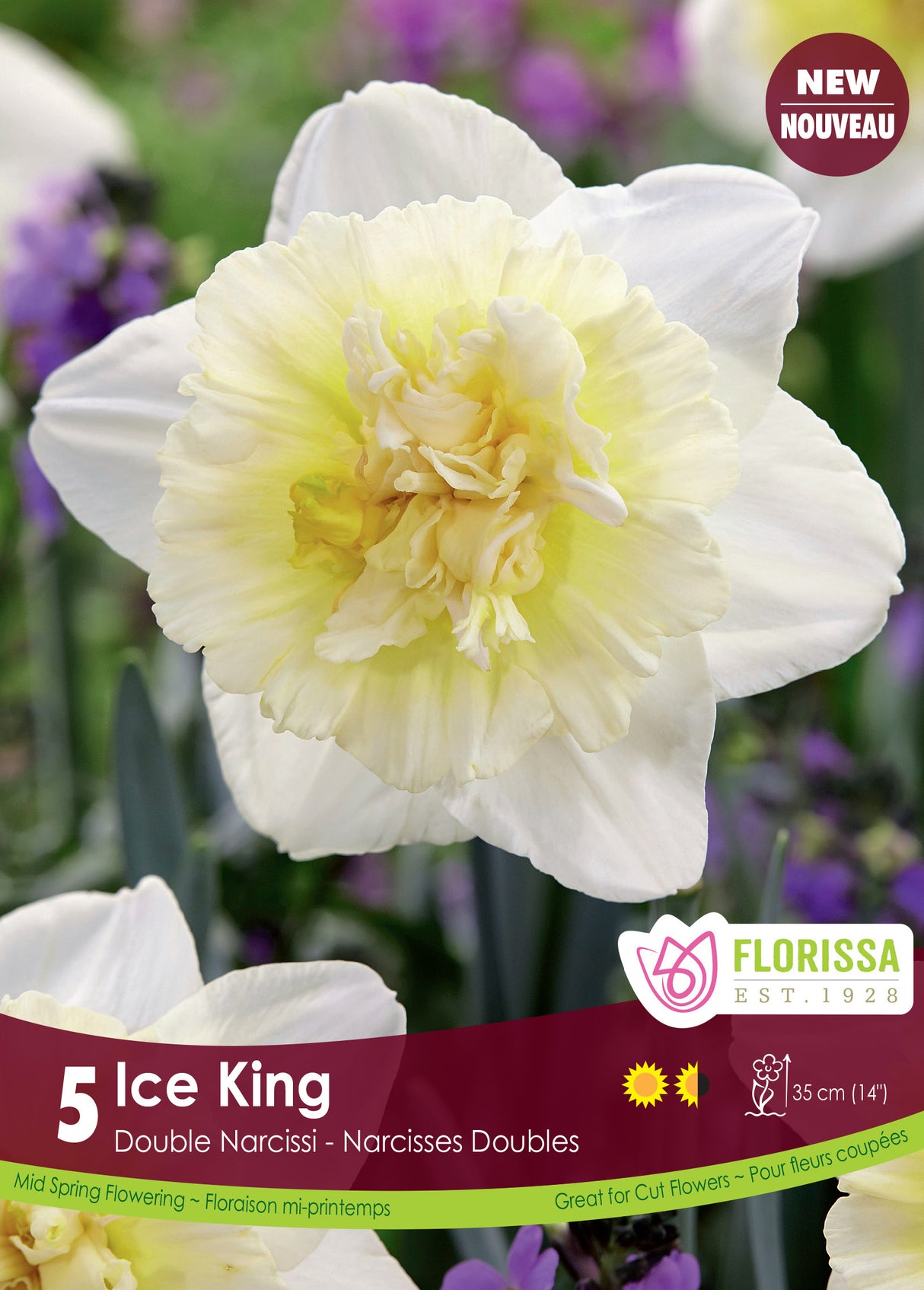 Narcissus Double - Ice King Retail