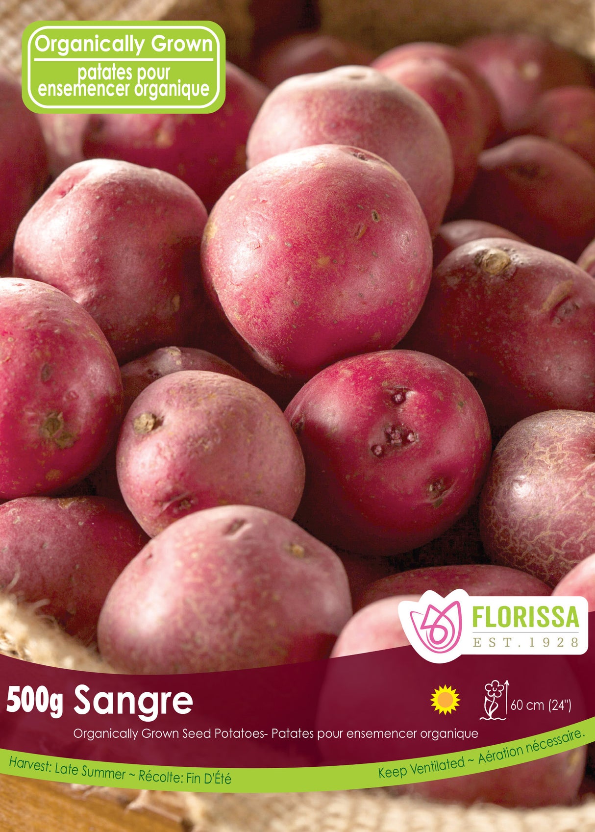Potato Organic - Sangre
