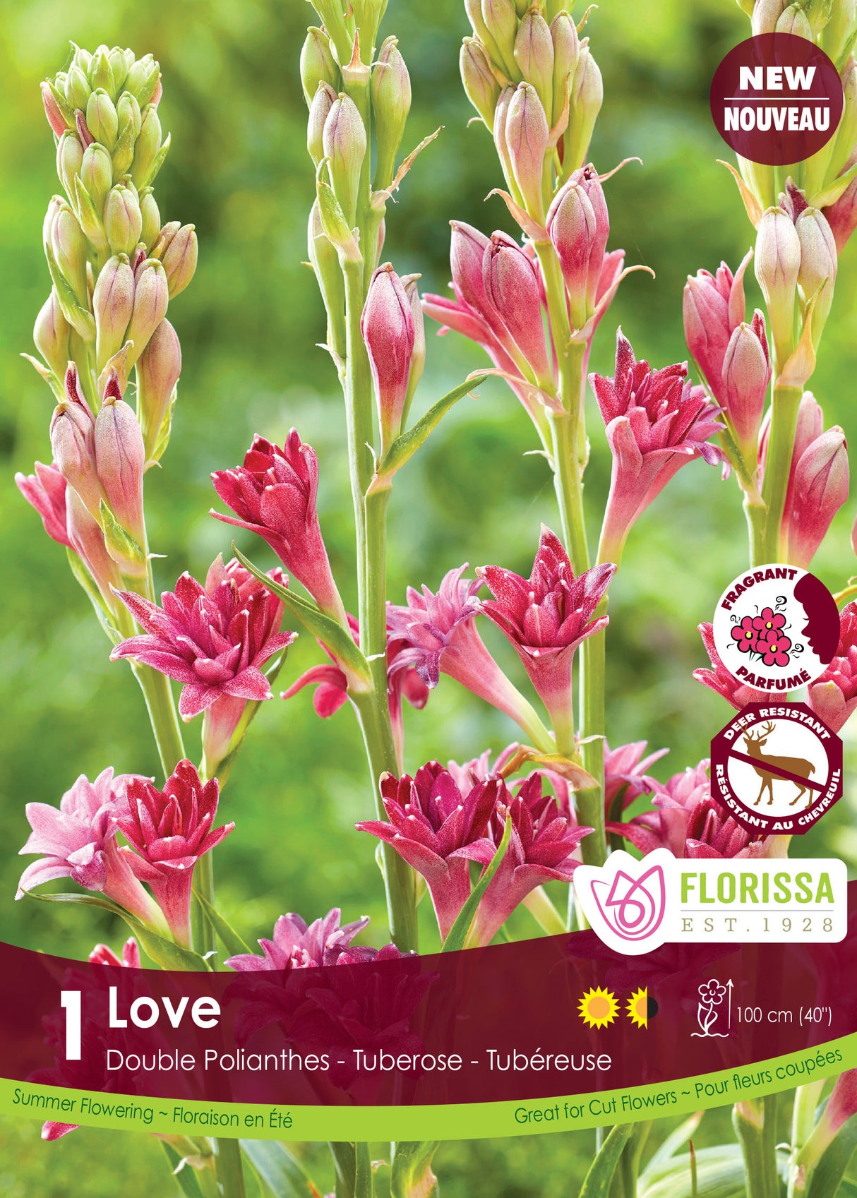 Tuberose Double - Love