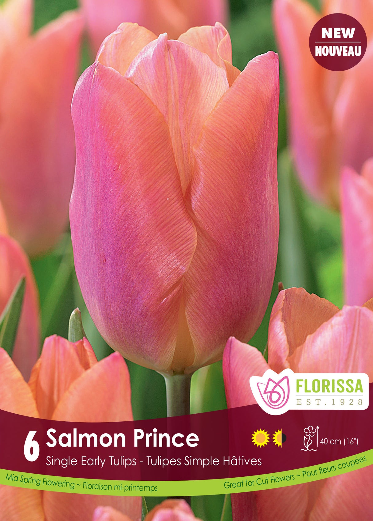 Tulip Single Early - Salmon Prince Bulk