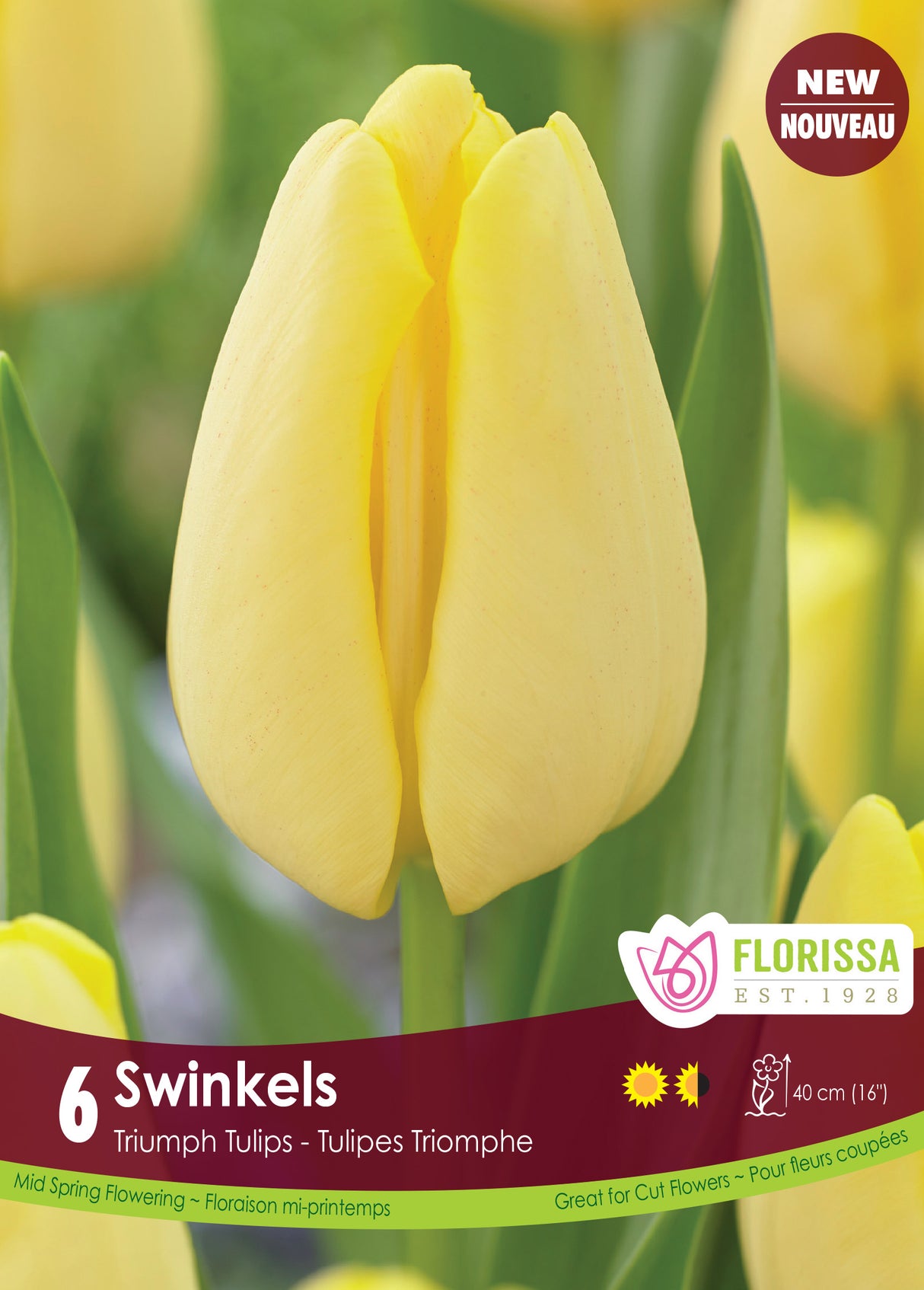Tulip Triumph - Swinkels Bulk
