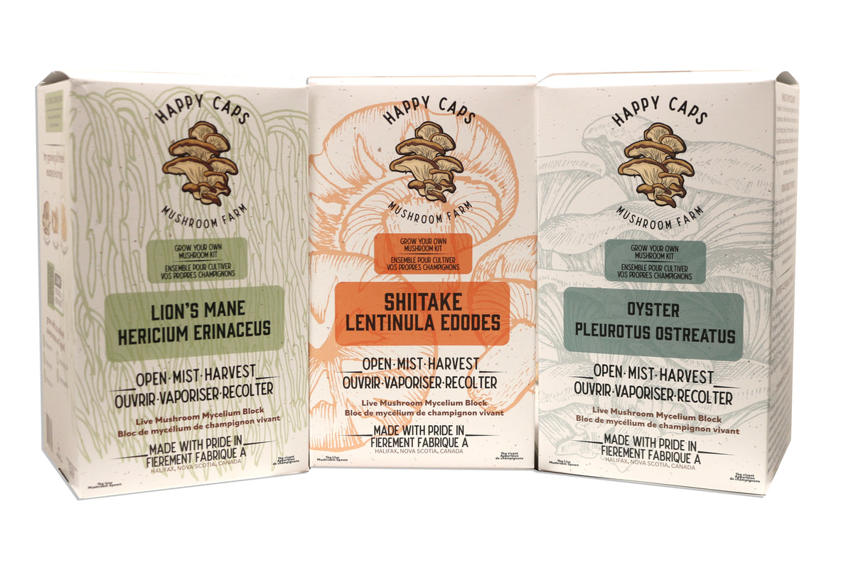 Mushroom Kits - Assorted Unit of 15