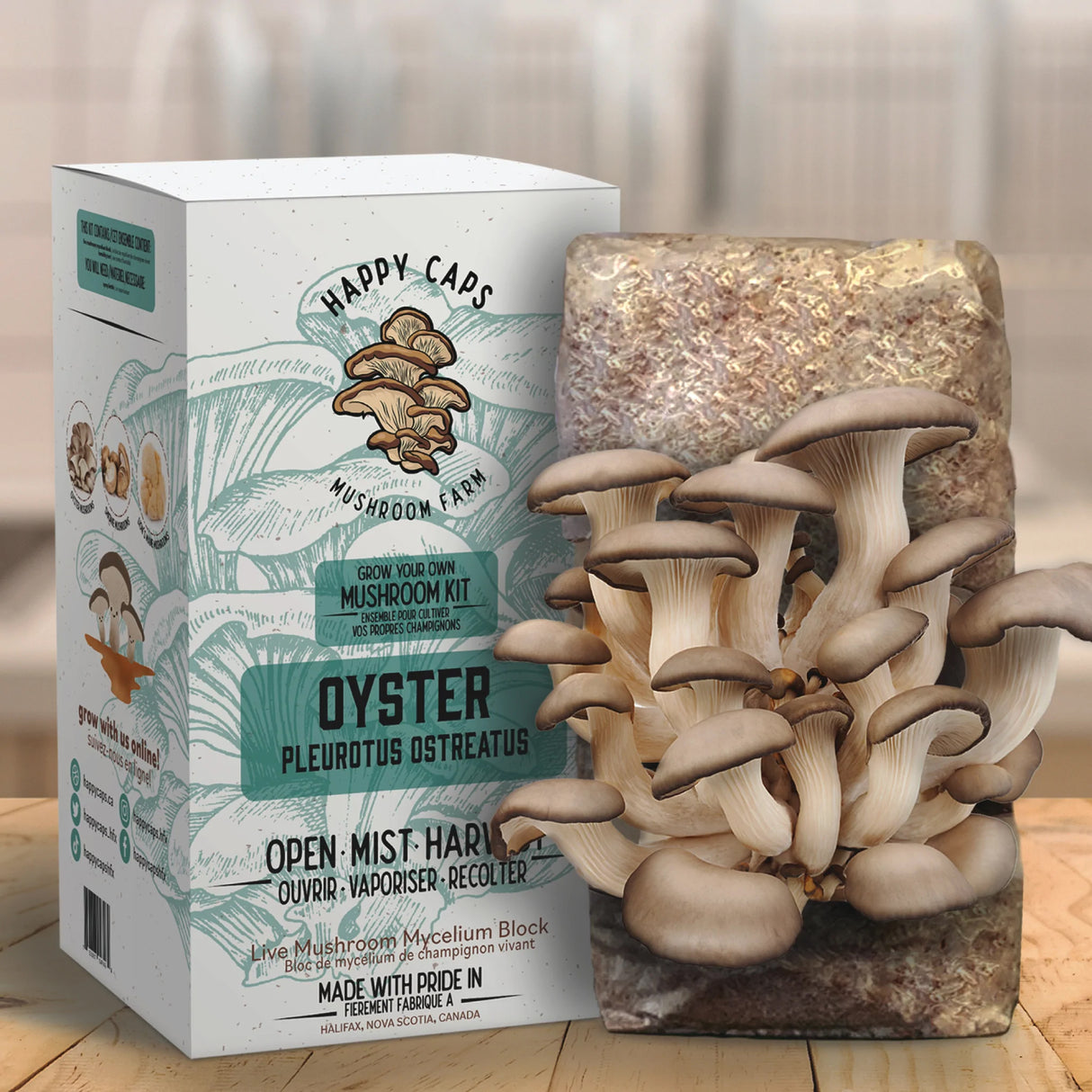 Mushroom Kits - Assorted Unit of 15