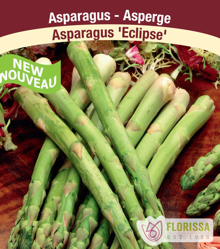 Asparagus - Eclipse Bulk