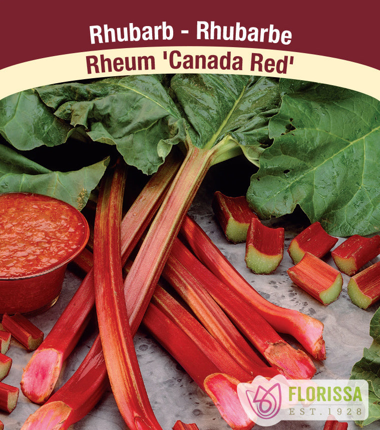 Rhubarb -  Canada Red Bulk
