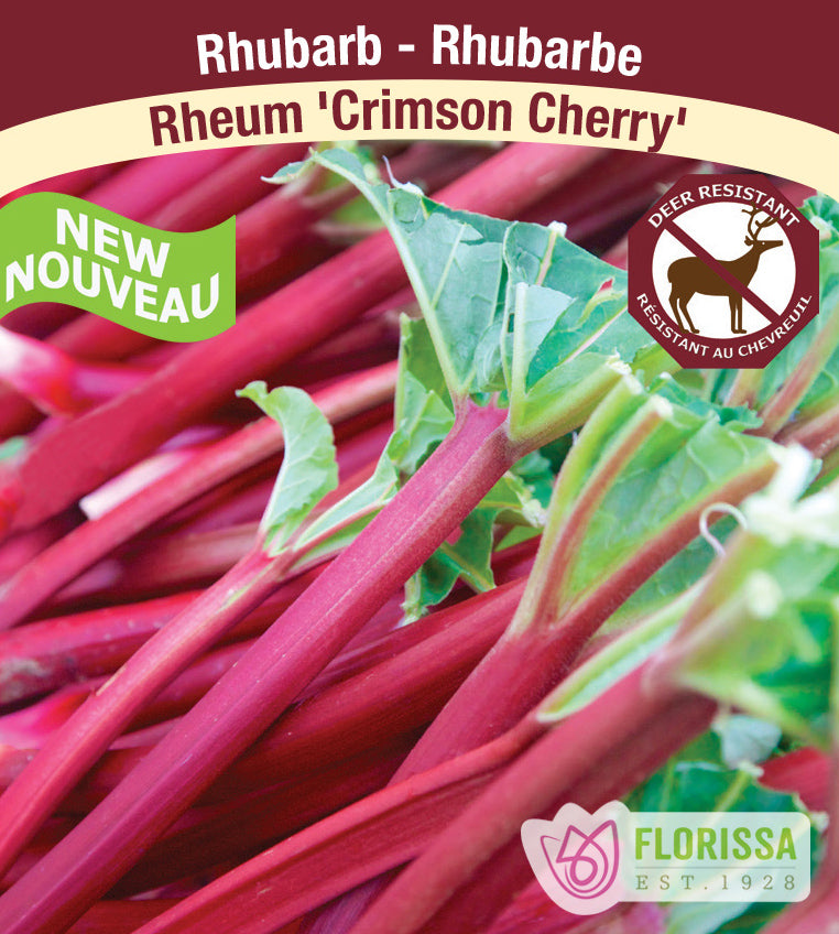 Rhubarb - Crimson Cherry Bulk