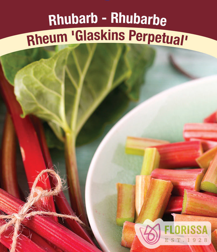 Rhubarb - Glaskin's Perpetual Bulk