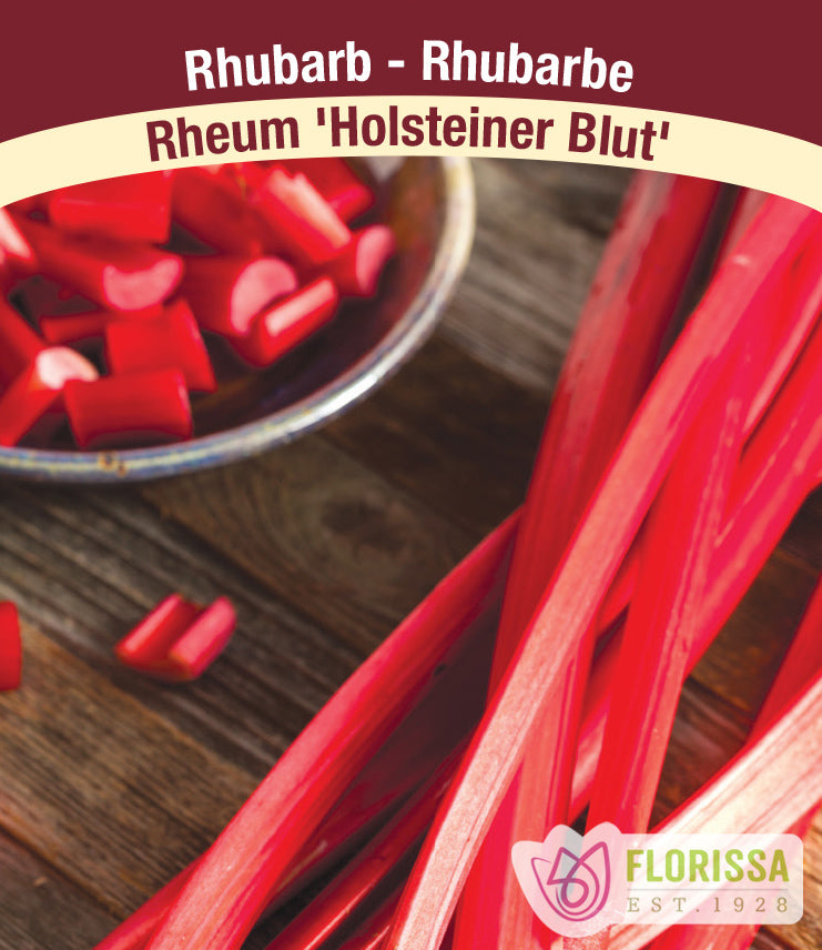Rhubarb - Holstenier Blut Bulk