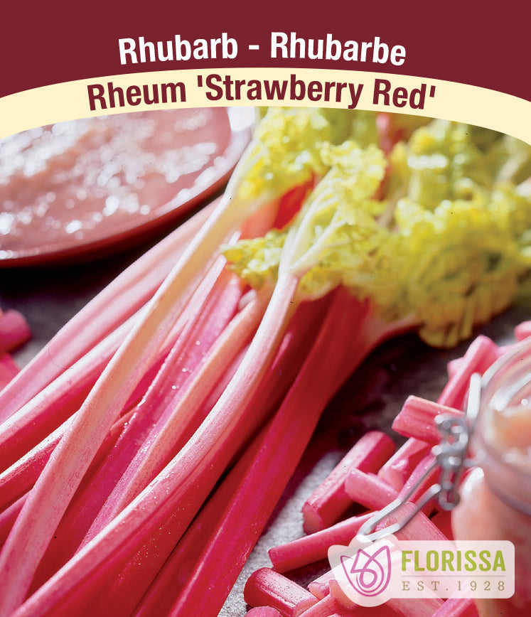 Rhubarb - Strawberry Red Bulk