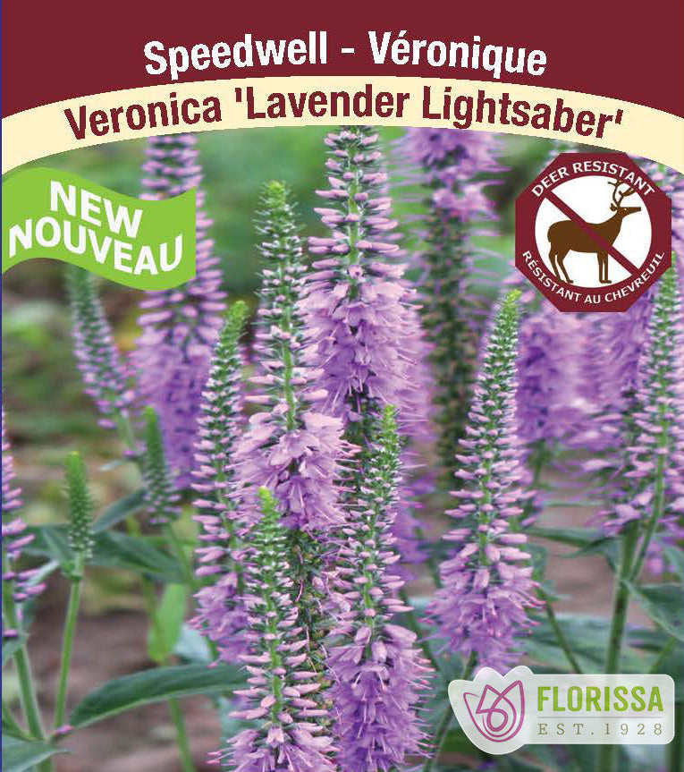 Veronica - Lavender Lightsaber